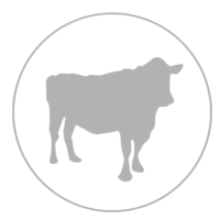 ANSHAM ASSOCIATES LTD logo